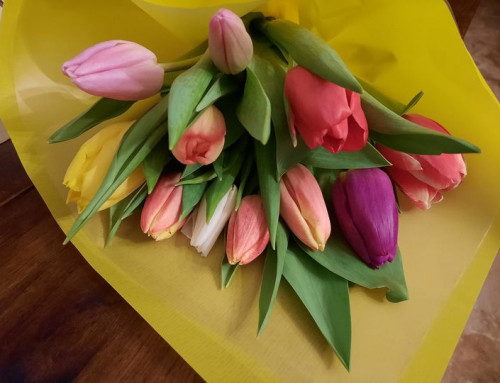 Bouquet tulipano € 23,00